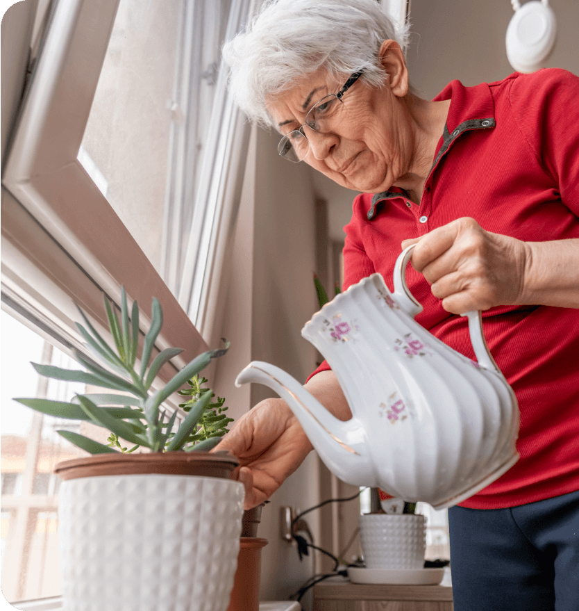 elder_women